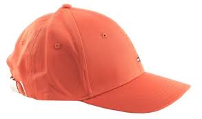 ESSENTIAL CAP, SN2, OS AW0AW12169SN2