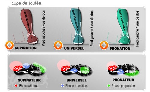 Les Types de pieds